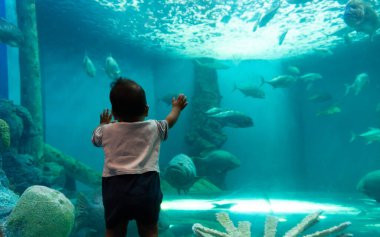 Değişik bir deniz ekosisteminin harikalarını gösteren büyüleyici sualtı sahnesi. Renkli balıklar ve diğer su canlıları sakin ve sakin bir ortamda yüzüyorlar..