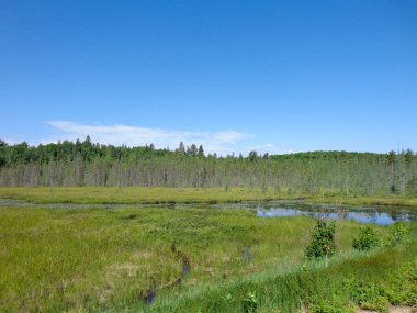 Algonquin Park Ontario 'daki Kanada vahşi göl manzarası