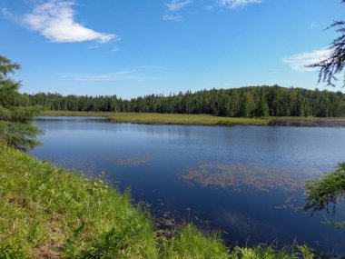Algonquin Park Ontario 'daki Kanada vahşi göl manzarası