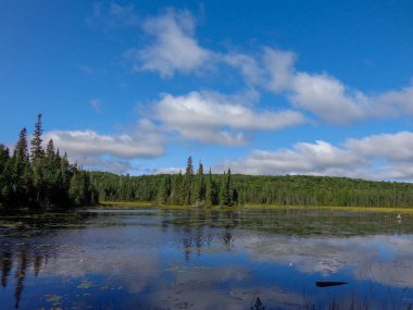 Algonquin İl Parkı Ontario 'daki Kanada vahşi göl manzarası