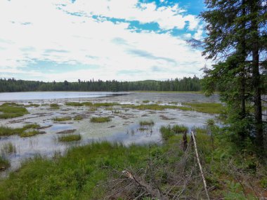 Algonquin İl Parkı Ontario 'daki Kanada vahşi göl manzarası