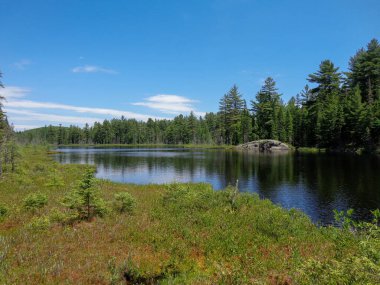 Algonquin İl Parkı Ontario 'daki Kanada vahşi göl manzarası