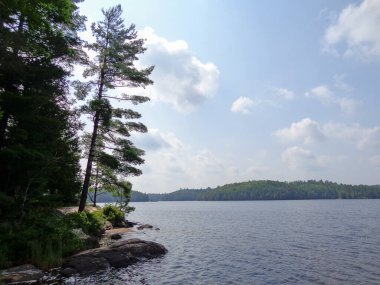 Kanada gölünün kıyısındaki ağaçlar ve kayalar