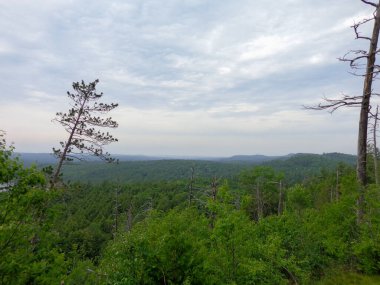 Algonquin İl Parkı 'ndaki Kulübeler Kayası' ndan orman manzarası