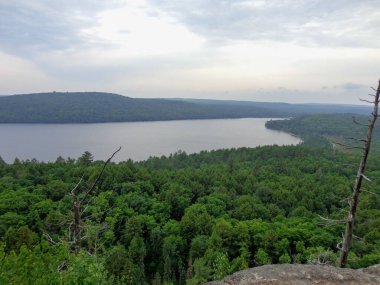 Rock Lake 'in Algonquin İl Parkı' ndaki kayalıklardaki berrak suyla muhteşem manzarası.