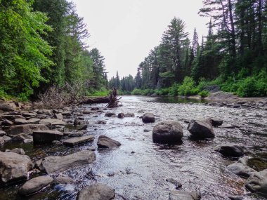 Algonquin İl Parkı Ontario Kanada 'da Whiskey Rapids