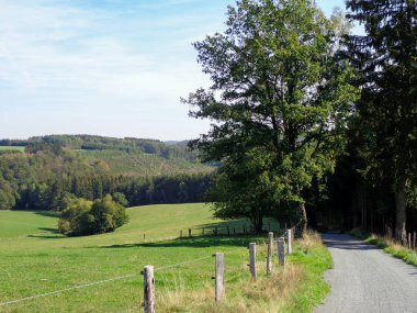 Belçika Ardennes 2. Dünya Savaşı Savaş Alanı