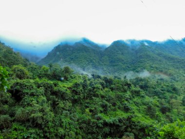 Hills in the Himalayas with green trees covered in mist and white clouds after a rainfall. Uttarakhand India.