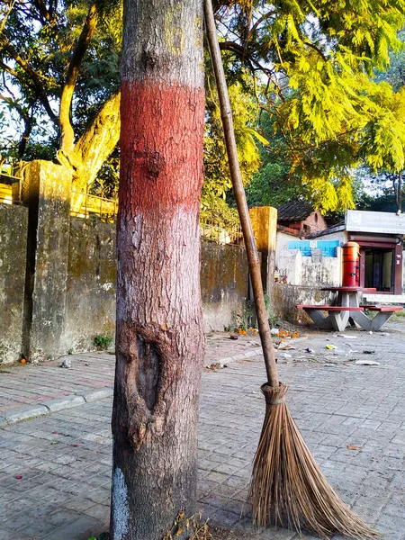 Noviembre 2019 Dehradun City Uttarakhand India Escoba Coco Mango Largo — Foto de Stock