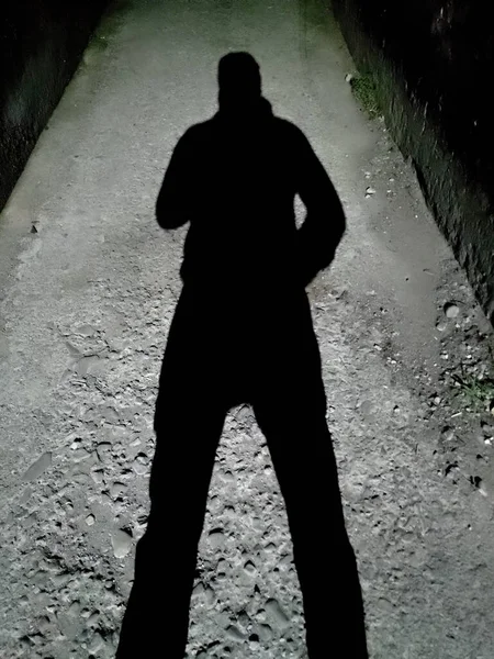 Hombre Proyectando Una Sombra Contra Poste Luz Callejón Oscuro Por Imagen De Stock
