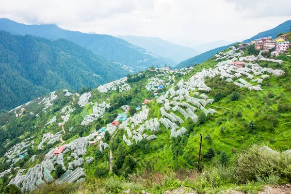Julio 2022 Himachal Pradesh India Los Agricultores Himachal Utilizan Redes — Foto de Stock