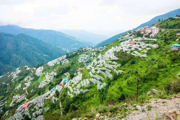 Julio 2022 Himachal Pradesh India Los Agricultores Himachal Utilizan Redes — Foto de Stock