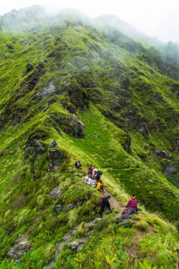 14 Temmuz 2022, Himachal Pradesh Hindistan. Sırt çantalı ve bastonlu insanlar, Himalayalar 'da Shrikhand Mahadev Kailash Yatra sırasında yürüyüş yapıyorlar..