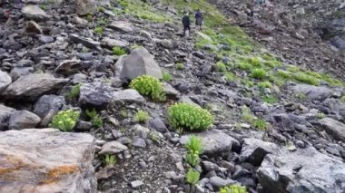 14 Temmuz 2022, Himachal Pradesh Hindistan. Himalayalar 'da Shrikhand Mahadev Kailash Yatra sırasında Parvati Bagh to Nain Sarovar Gölü.