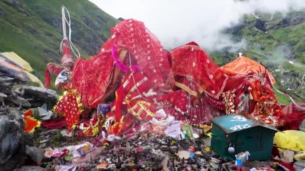Juli 2022 Himachal Pradesh Indien Gudinde Kali Hinduistisk Guddom Tilbedelse – Stock-video