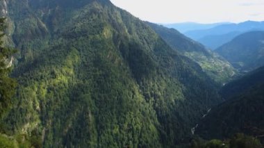 Yoğun deodar ağacı ormanları olan bir vadinin egzotik manzarası. Himalayalar 'da Shrikhand Mahadev Kailash Yatra. Himachal Pradesh Hindistan