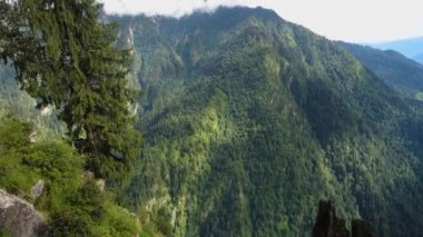 Yoğun deodar ağacı ormanları olan bir vadinin egzotik manzarası. Himalayalar 'da Shrikhand Mahadev Kailash Yatra. Himachal Pradesh Hindistan