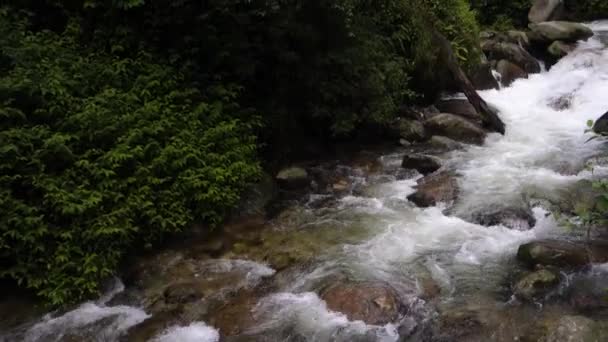 Řeka Teče Barati Nala Vedle Shrikhand Mahadev Kailash Yatra Stezka — Stock video