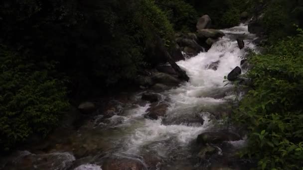 Barati Nala 沿着Shrikhand Mahadev Kailash Yatra小径流经茂密的森林和山脉 喜马偕尔邦 — 图库视频影像