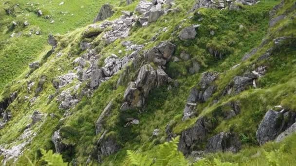 険しい谷と緑の芝生とロッキー山脈 美しい山の峰の風景です シュリックハンド マハージェフ カイラシュ ヒマラヤ ヤトラ ヒマカル プラデーシュ州インド — ストック動画
