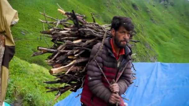 Julho 2022 Himachal Pradesh Índia Homem Nativo Carregando Pilha Lenha — Vídeo de Stock