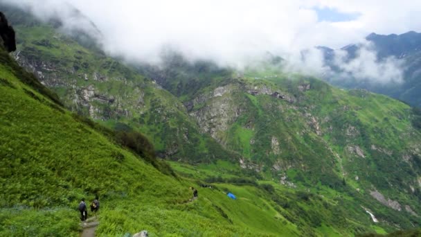 Juli 2022 Himachal Pradesh Indien Personer Med Ryggsäckar Och Promenadkäppar — Stockvideo