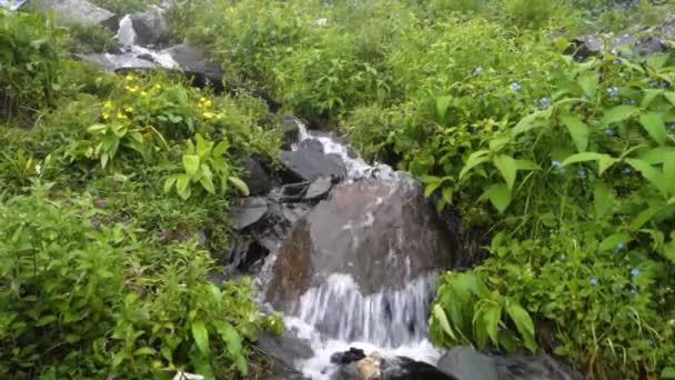 Water Stream Flowing Mountain Waterfalls Shrikhand Mahadev Kailash Himalaya Yatra — Stock Video