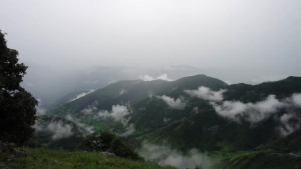 Hills Himalayas Green Trees Covered Mist White Clouds Rainfall Uttarakhand — Stock Video
