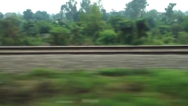 速度の速い列車に沿って木や電柱が残されている平行線 北インド鉄道 インド — ストック動画