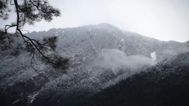 Belo Tiro Neve Coberto Montanhas Distrito Okhimath Chamoli Garhwal Uttrakhand — Vídeo de Stock