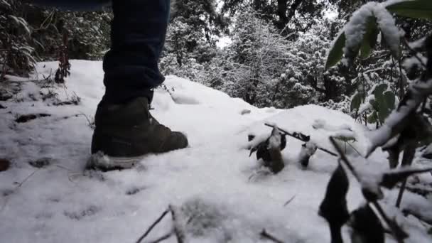 Ledna2022 Rudraprayag Uttarakhand Indie Filmový Záběr Muže Kráčejícího Zpomaleném Filmu — Stock video