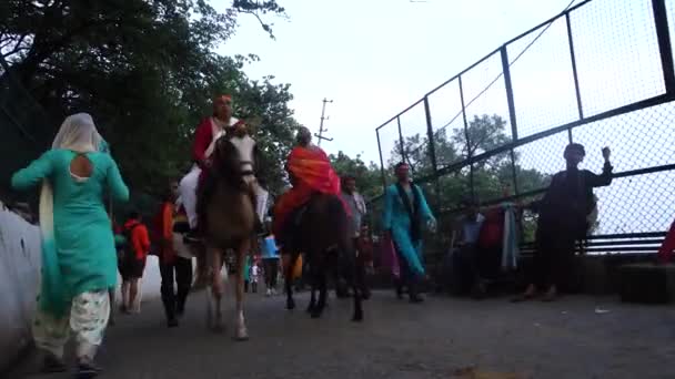 Juli 2022 Katra Jammu Und Kaschmir Indien Ponys Und Palki — Stockvideo