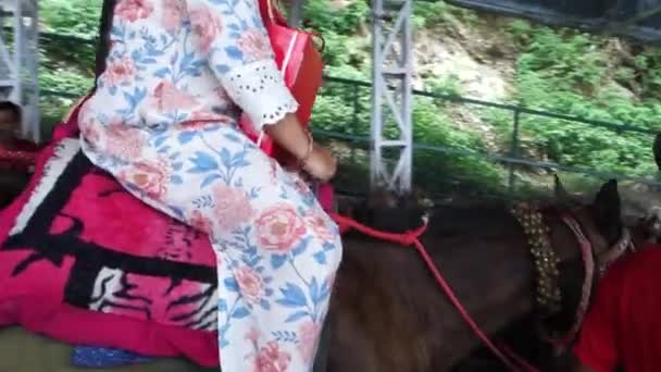 July 5Th 2022 Katra Jammu Kashmir India Ponies Palki Porter — Stock Video