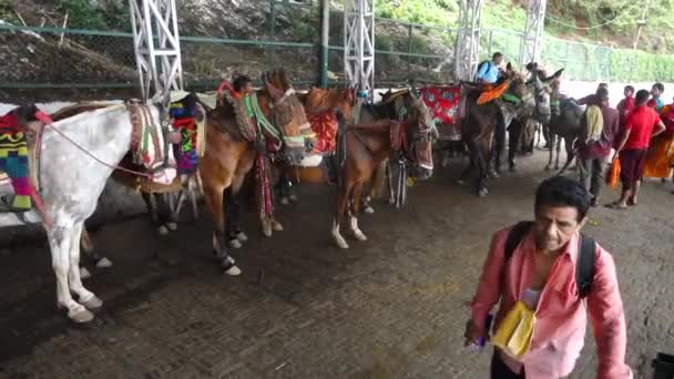 2022年7月5日卡塔拉 印度查谟和克什米尔 在Shri Mata Vaishno Devi的小马和Palki Porter服务 一个朝圣之旅的后期 — 图库视频影像