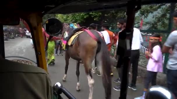 Ιουλίου 2022 Κάτρα Τζαμού Και Κασμίρ Ινδία Auto Rickshaw Βόλτα — Αρχείο Βίντεο
