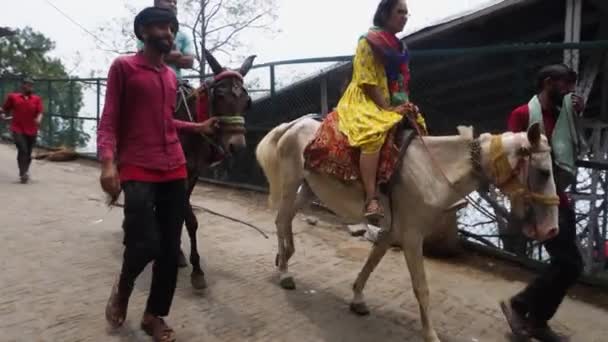 2022年7月5日卡塔拉 印度查谟和克什米尔 在Shri Mata Vaishno Devi 朝圣之旅的后期 提供骑马服务 — 图库视频影像