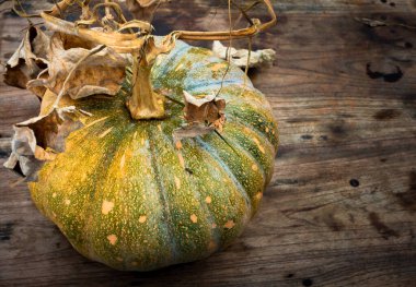 Ahşap desenli bir masanın üstünde balkabağı kütüğüyle yakın çekim. Hindistan