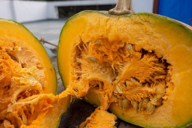 Balkabağı 'nın iki parçalı sarmaşık kütüğüyle, iç posası açık bir şekilde yakın plan fotoğrafını çek. Hindistan