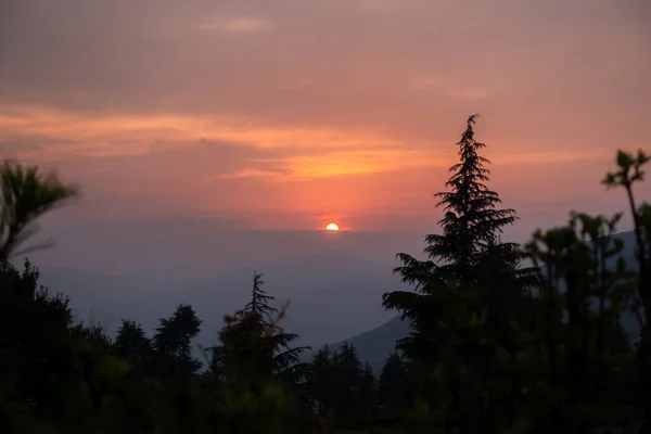 Zlatá Hodina Himalájích Slunce Zapadá Vrhá Oranžovou Oblohu Siluety Borovic — Stock fotografie
