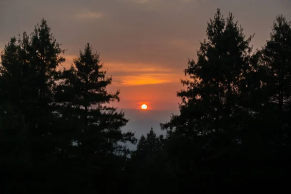 stock image Golden hour in the Himalayas: Sun settles, casting orange sky. Pine tree silhouettes adorn Uttarakhand's scenic beauty. India