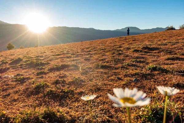 Man Standing in the corner facing the morning Sun in the Himalayan meadow with grass and flowers. Uttarakhand India.