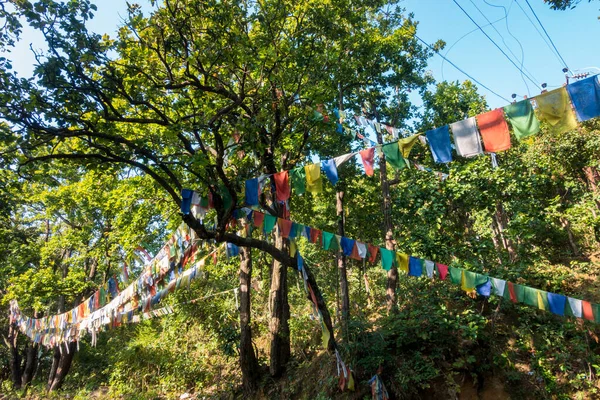 Fecha Octubre 2022 Dehradun Uttarakhand India Las Banderas Oración Tibetanas — Foto de Stock