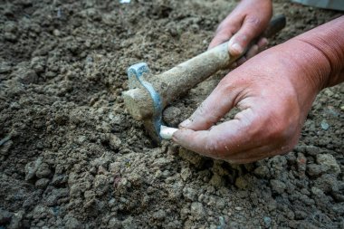 Yetenekli Hintli ellerin tohum ekerken, kazma ekerken, verimli toprak ekerken canlı bir görüntüsü. Hindistan 'da tarımın güzelliğini kucaklamak.