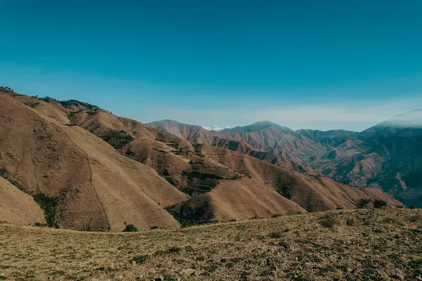 Uttarakhand, Hindistan 'daki geniş Himalaya çayırları ve yemyeşil vadileri.
