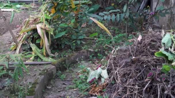Una Pila Residuos Agrícolas Utilizados Jardín Para Hacer Compost Orgánico — Vídeos de Stock