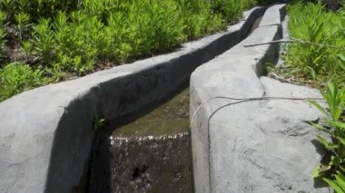 Uttarakhand 'ın Garhwal bölgesindeki sakin kırsal tarım arazileri, kırsal su yönetim sisteminin bir parçası olarak ince bir sulama kanalı sergiliyor.