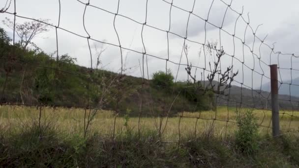 Закрытые Сельскохозяйственные Угодья Уттаракхандских Холмах Индия Защищены Защитным Ограждением Сохранение — стоковое видео