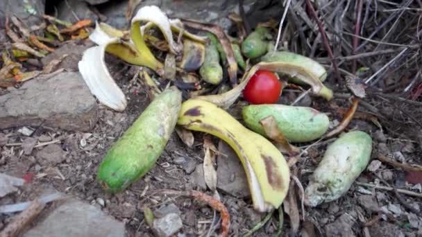 Ylimääräiset Elintarvike Vihannesjäännökset Kompostoidaan Orgaanisen Lannoitteen Laitoksessa Uttarakhandissa Intiassa — kuvapankkivideo