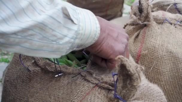 시장으로 신선하게 유기농 완두콩으로 봉투를 손으로 꿰매십시오 Uttarakhand — 비디오