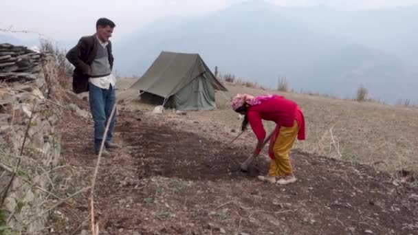 Oktober 2022 Uttarakhand Indien Mann Frau Duo Pflegt Ihr Himalaya — Stockvideo